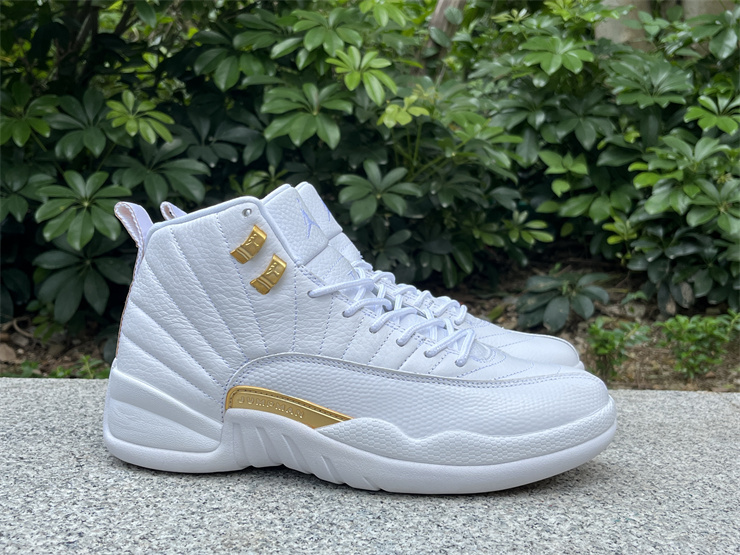 Jordan 12 Phantom