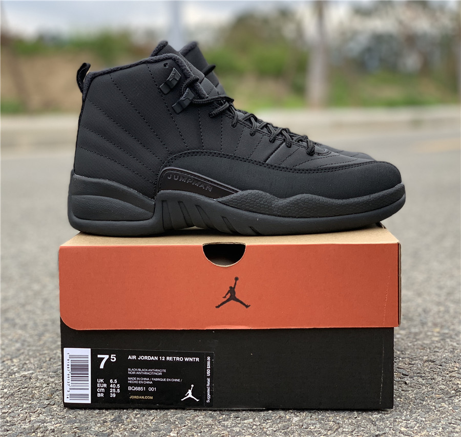 Jordan 12 Winterized